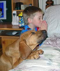 Boy and Dog at Prayer